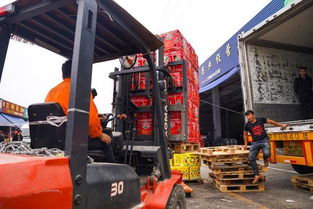 海峽兩岸攜手，滯銷水果變暢銷——物流城倉儲(chǔ)服務(wù)助力臺(tái)農(nóng)脫困